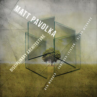 Matt Pavolka - Disciplinary Architecture