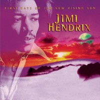 Jimi Hendrix - First Rays of the New Rising Sun / vinyl 2LP set