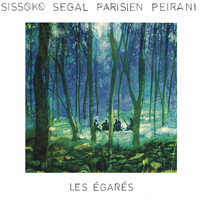 Sissoko Segal Parisien Peirani - Les Egares - Vinyl LP