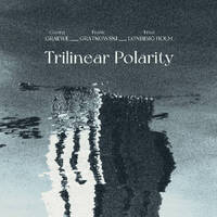 Georg Graewe / Frank Gratkowski / Fred Lonberg-Holm - Trilinear Polarity