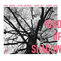 Izumi Kimura / Artur Majewski / Barry Guy / Ramon Lopez - Kind Of Shadow