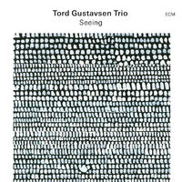 Tord Gustavsen Trio - Seeing