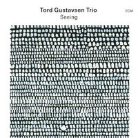 Tord Gustavsen Trio - Seeing - Vinyl LP