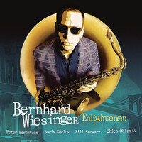 Bernhard Wiesinger - Enlightened