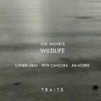 Joe Morris / Wildlife - Traits