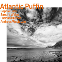 Sophie Lüssi - Atlantic Puffin