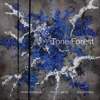 Miro Sprague / Marty Jaffe / Jason Ennis / Tone Forest - self-titled