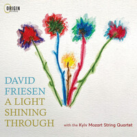 David Friesen - A Light Shining Through