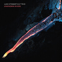 Luke Stewart Silt Trio - Unknown Rivers - Vinyl LP
