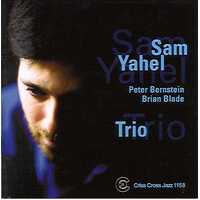 Sam Yahel Trio - Trio