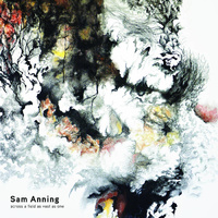 Sam Anning - Across a Field As Vast As One