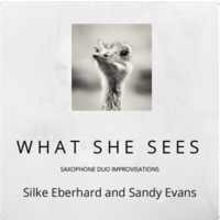 Silke Eberhard & Sandy Evans - What She Sees