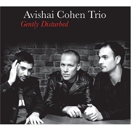 Avishai Cohen - Gently Disturbed