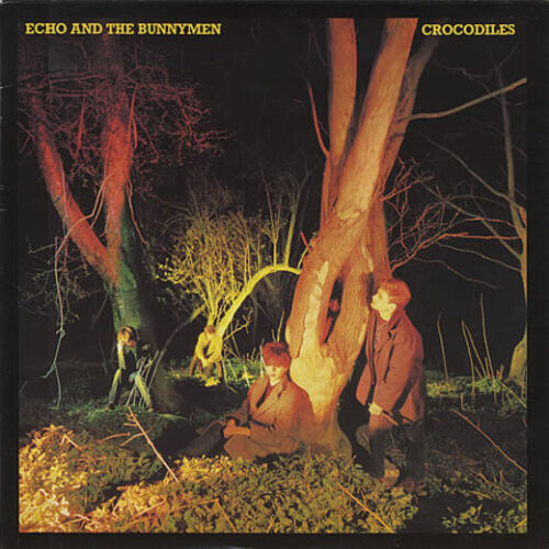 Echo & the Bunnymen - Crocodiles - 180g Vinyl LP