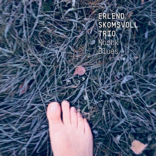 Erlend Skomsvoll - Noshk Blues