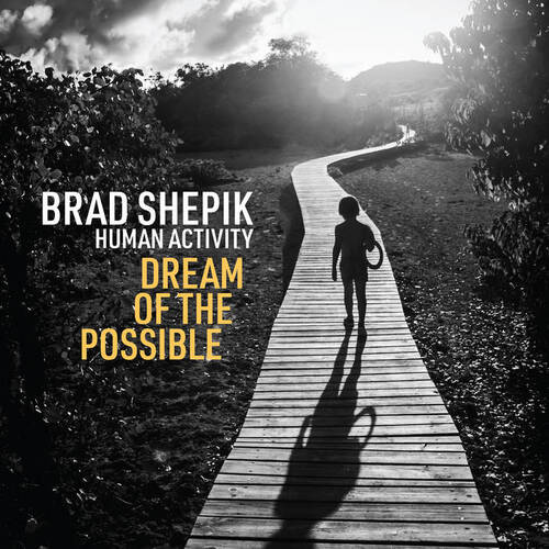 Brad Shepik Human Activity - Dream of the Possible