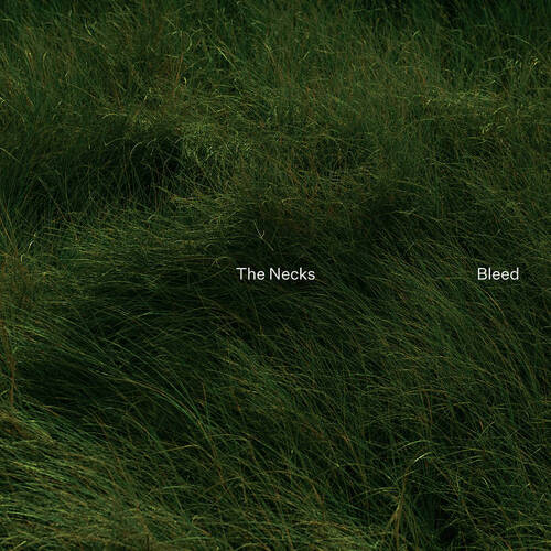 The Necks - Bleed - Vinyl LP