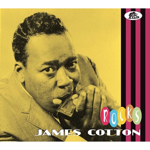 James Cotton - Rocks