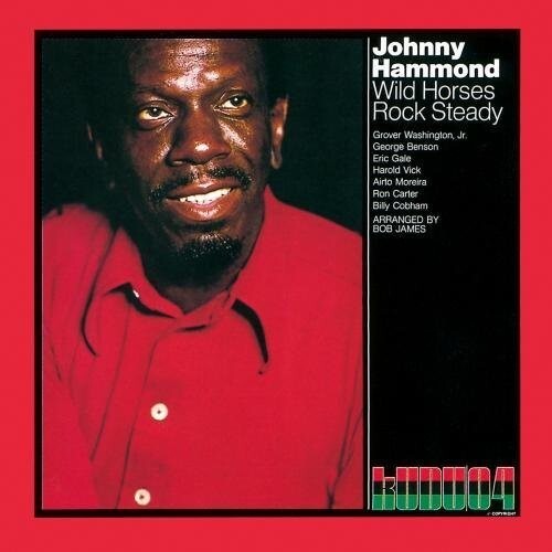 Johnny Hammond  - Wild Horse Rock Steady