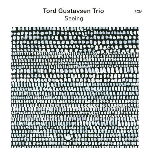 Tord Gustavsen Trio - Seeing - Vinyl LP