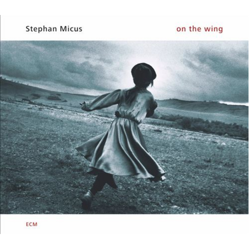 Stephan Micus - on the wing