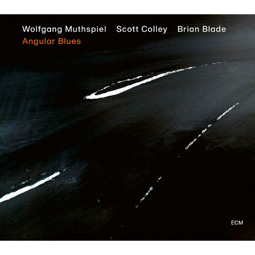 Wolfgang Muthspiel, Scott Colley & Brian Blade - Angular Blues