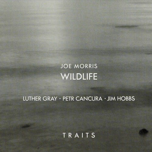 Joe Morris / Wildlife - Traits