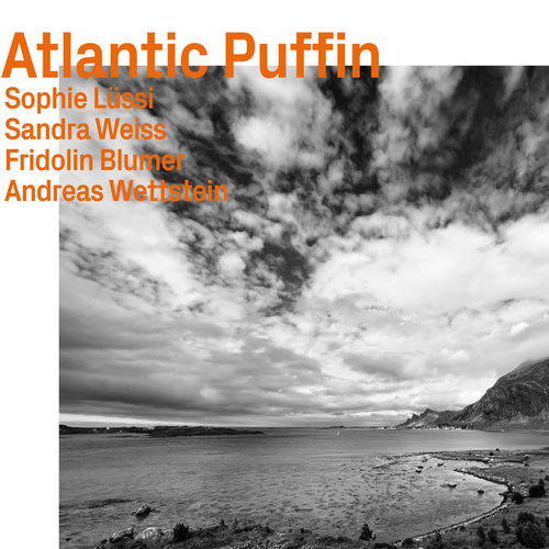 Sophie Lüssi - Atlantic Puffin