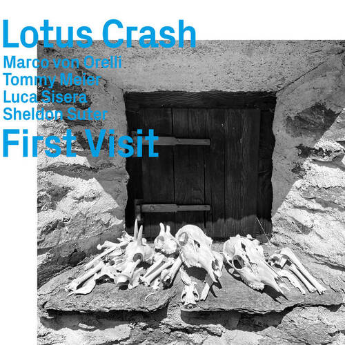 Lotus Crash - First Visit