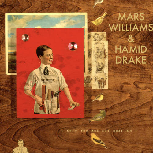 Mars Williams & Hamid Drake - I Know You Are But What Am I? 