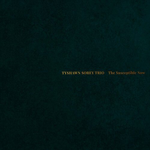 Tyshawn Sorey Trio - The Susceptible Now - 2 x Vinyl LPs