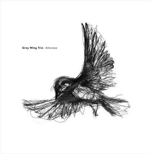 Grey Wing Trio - Amorosa